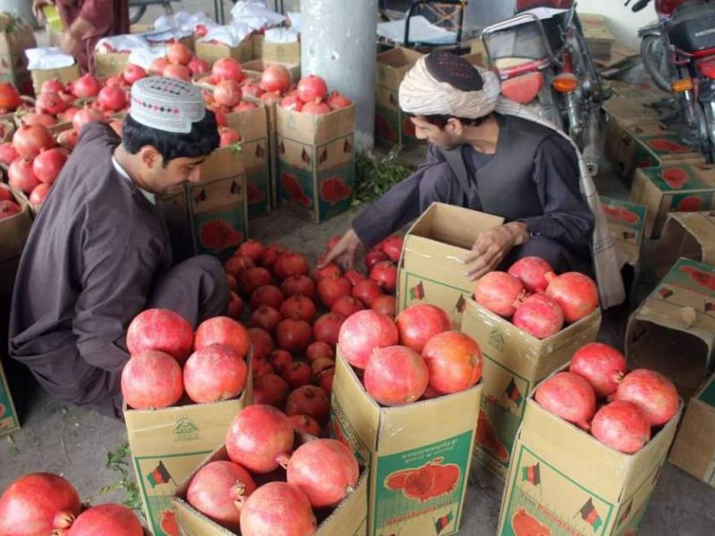 تلاشها برای صادرات انار قندهار به چین