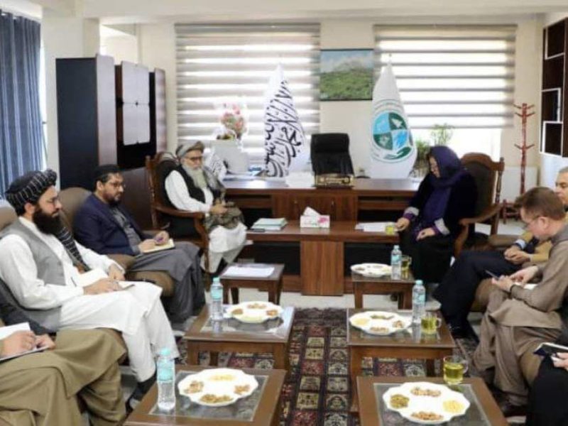 ادامه همکاری با افغانستان در مبارزه با تغییرات اقلیمی