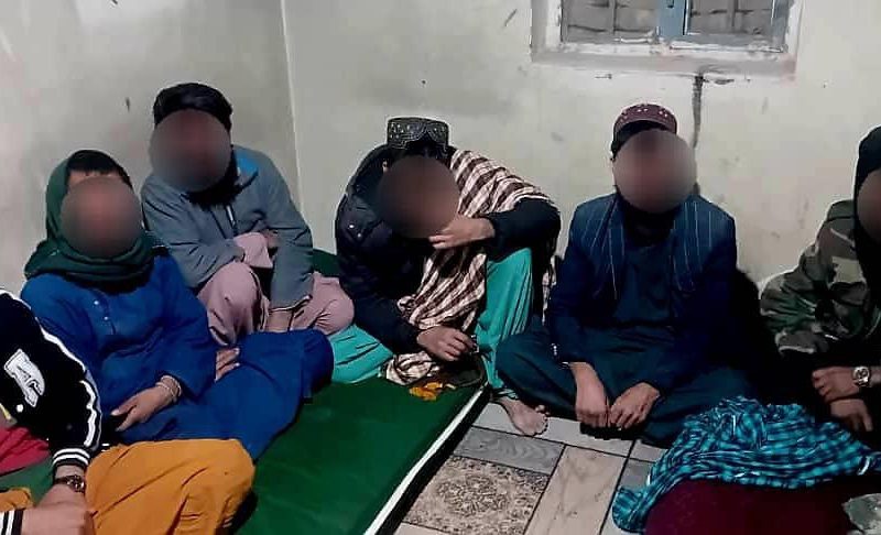 بازداشت شش شکارچی غیرمجاز پرندگان ممنوعه در هرات