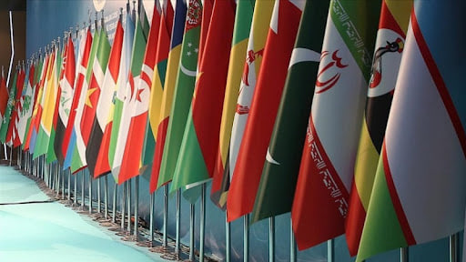 سازمان همکاری اسلامی ظرفیت بالا برای حمایت از غره دارد/برخی سران کشورهای اسلامی دست از دو رنگی بردارند