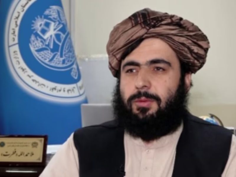 امارت اسلامی: خواهان امنیت و ثبات در پاکستان هستیم