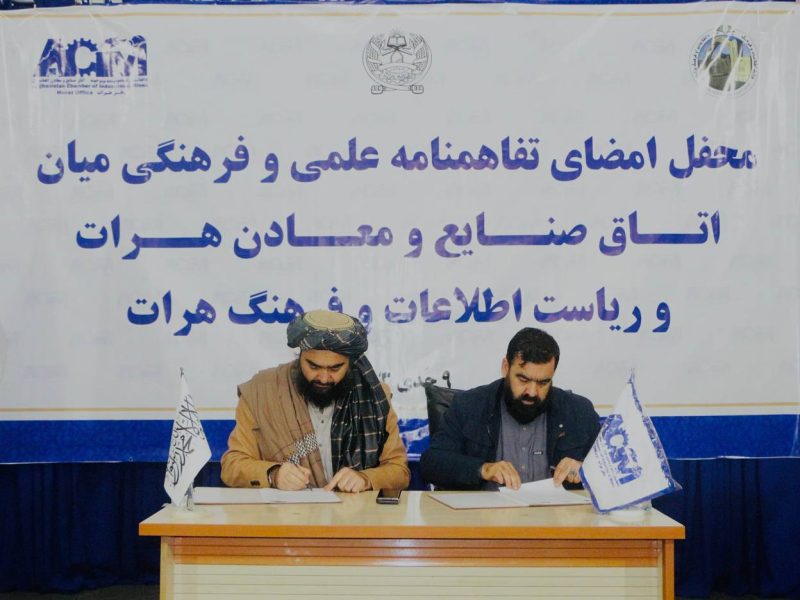 رئیس اطلاعات و فرهنگ هرات: تمام توجه امارت اسلامی به تولیدات داخلی معطوف است