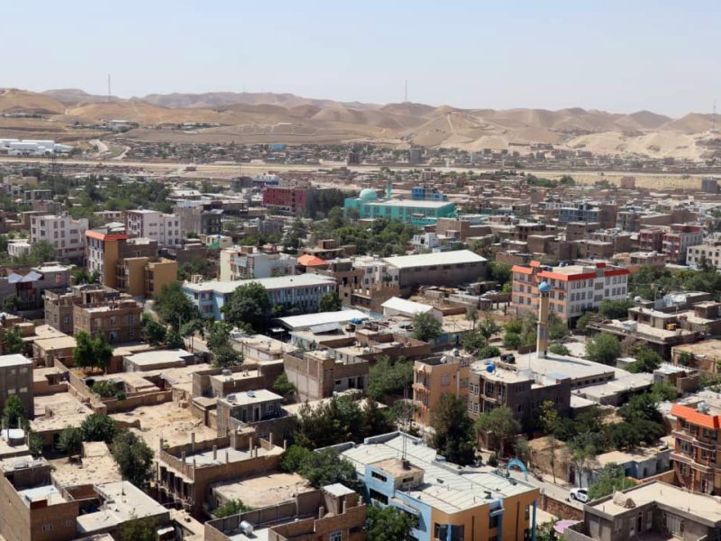دیدار مسئولین یونما با والی بادغیس
