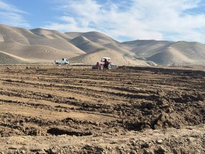 ایجاد بزرگترین باغ خصوصی پسته در بادغیس