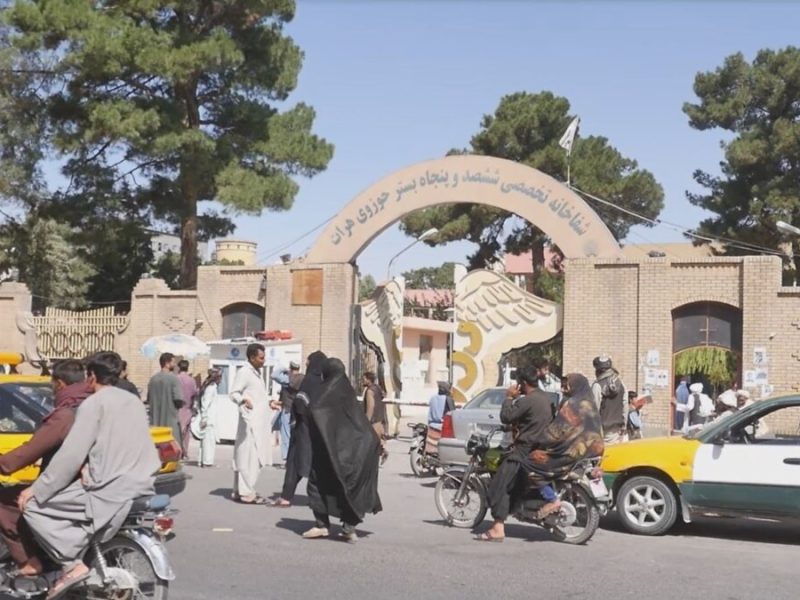 ثبت بیش از ۱۲۰ مورد گاز گرفتگی در دو ماه گذشته در هرات