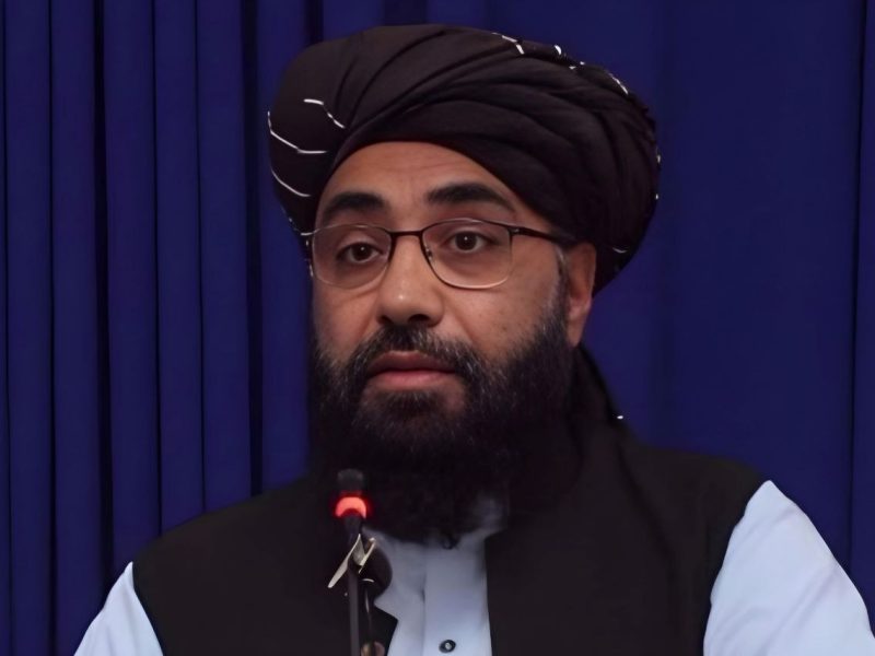 انقلاب ایران تاثیر جهانی داشته است/ کمک ایران منجر به پیروزی مجاهدین افغانستان نیز شد