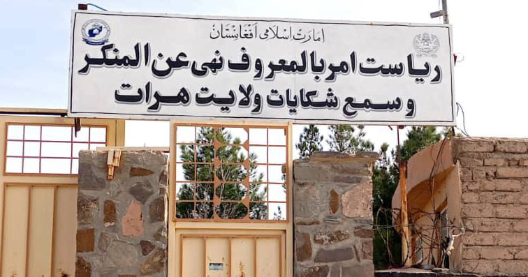اداره امر به معروف هرات: سر و صدا و بوق زدن هنگام انتقال عروس و داماد ممنوع است