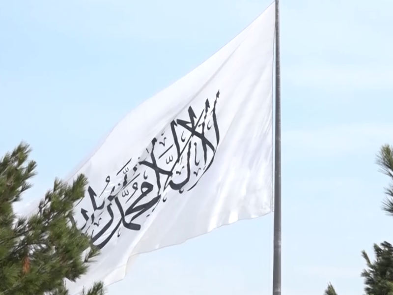 پیام رهبر امارت اسلامی به مناسبت عید: تأکید بر وحدت ملی و حمایت از فلسطین