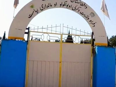 رئیس زراعت فراه: برنامه‌های توسعه‌ای برای زراعت در سال جاری روی دست گرفته شده است