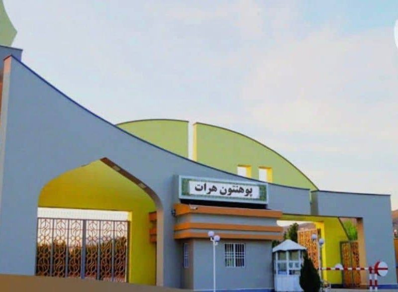 تأکید سرپرست وزارت تحصیلات عالی و والی هرات بر نقش علم در تحول کشور و حمایت از محصلین