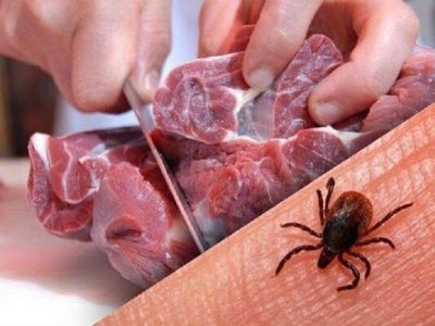 صحت عامه هرات: در عید قربان مراقب تب کانگو باشید