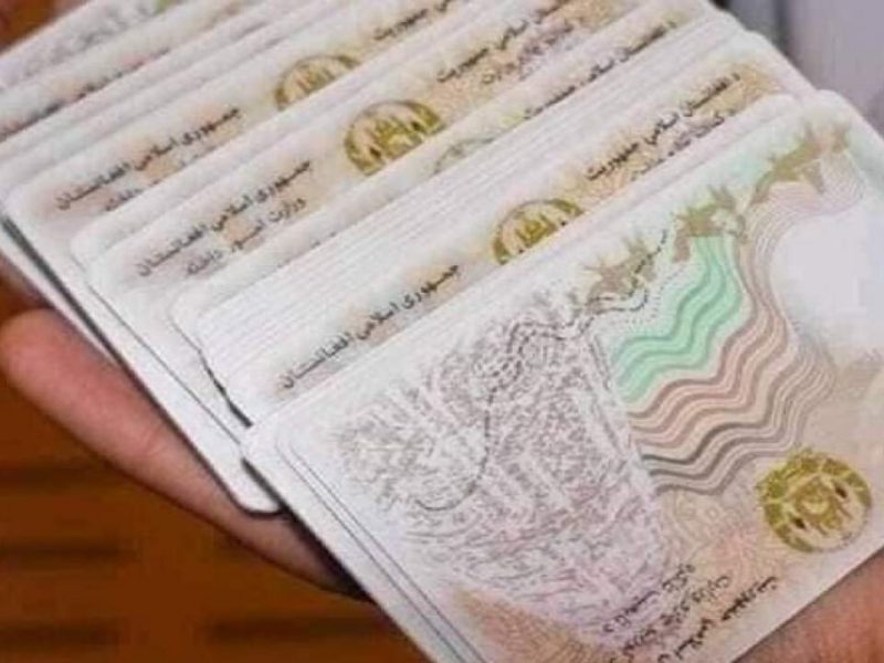 بیش از ۸۴ هزار جلد تذکره در دو ماه نخست سال در هرات توزیع شد