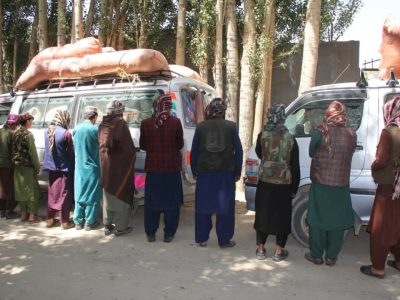 بازداشت ۲۵ قاچاقچی مواد مخدر در ولایت غور