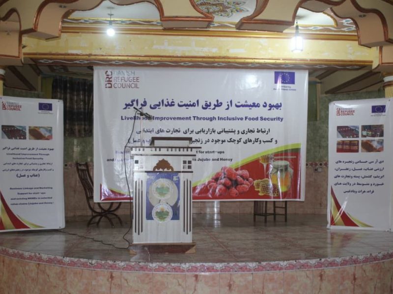 نمایشگاه عناب و عسل در فراه: خلق فرصتهای جدید برای تولید کنندگان داخلی