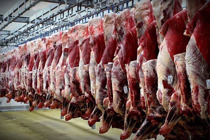 افغانستان صادرات گوشت را از بلخ بهصورت آزمایشی آغاز کرد