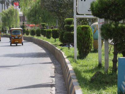 هرات؛ تلاش برای سرسبزی پایدار با قطره‌های حساب‌شده آب