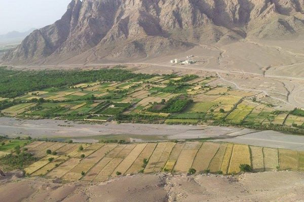 اداره محیط زیست فراه مردم را به یاری طبیعت فراخواند
