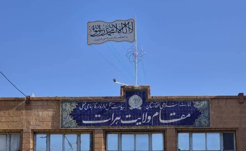 دیدار هیئت اتحادیه اروپا و سازمانهای بینالمللی با والی هرات: بررسی مشکلات مهاجرین و تغییرات اقلیمی