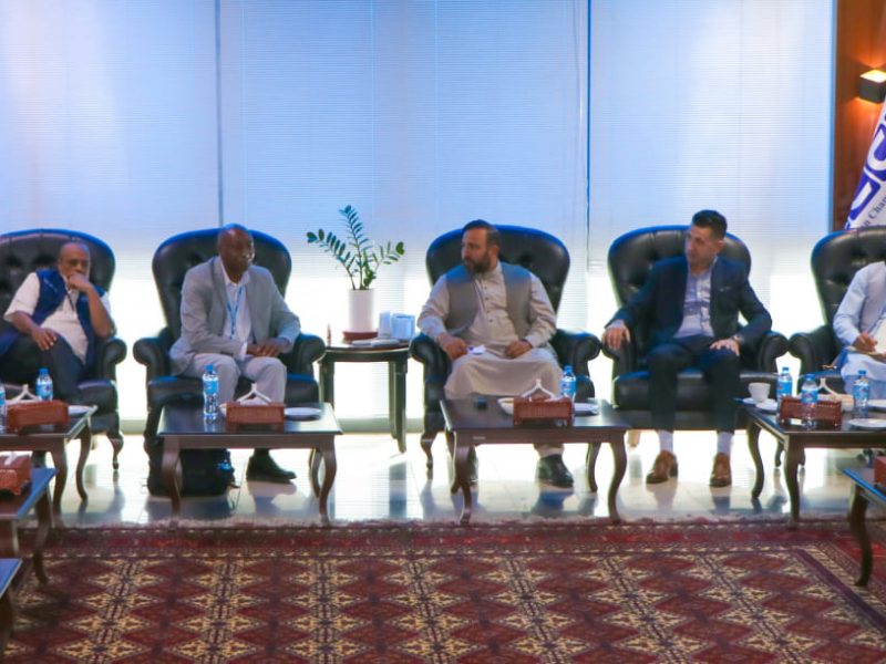 نشست تقویت فعالیتهای متشبثین خرد و متوسط در هرات با حضور رئیس سازمان جهانی کار
