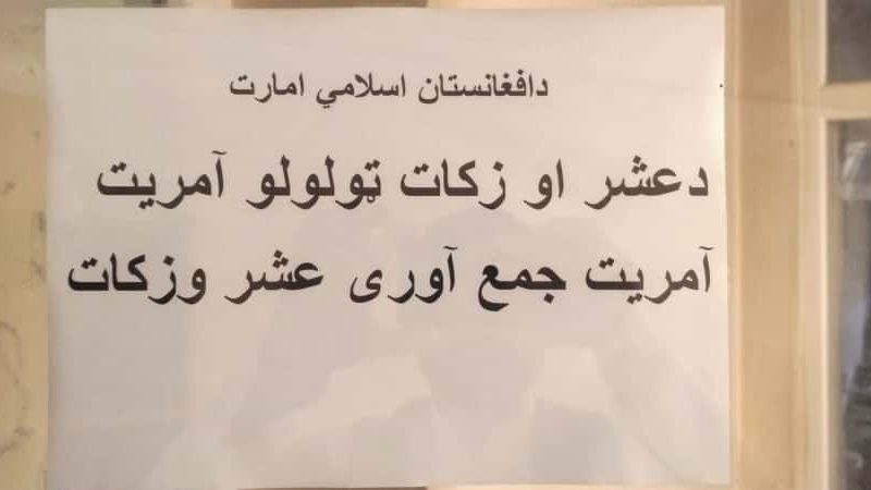 ۶۰ میلیون افغانی عشر از کشاورزان هرات گردآوری شد