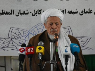 معاون شورای علمای شیعه افغانستان: در برابر تجاوز پاکستان، ملت باید یکپارچه بایستد