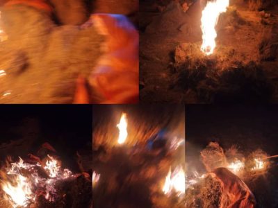 کشف و حریق دو تُن بته‌ی «اومان» در ولایت بادغیس