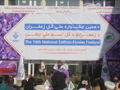 برگزاری دهمین جشنواره زعفران در هرات؛ افزایش سطح زیرکشت، اما کاهش تولید