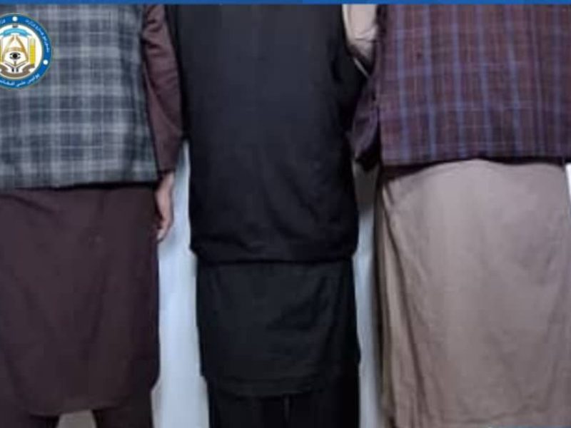 سه نفر در جوند بادغیس به اتهام حفاری غیرقانونی بازداشت شدند