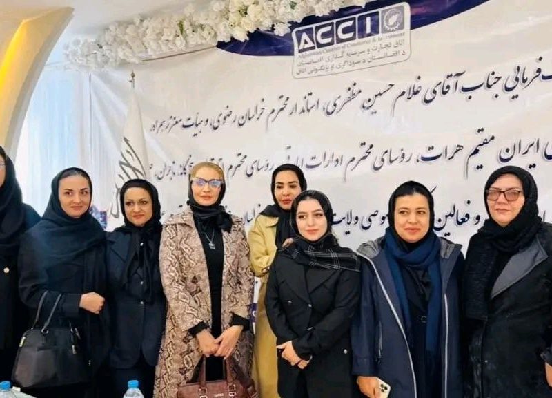 کارآفرینان زن افغان و ایرانی در هرات به گسترش همکاری‌های تجاری توافق کردند