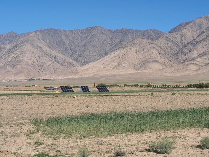شیندند در خط اول تغییرات اقلیمی؛ برنامه‌های کشاورزی کم‌آب در دستور کار