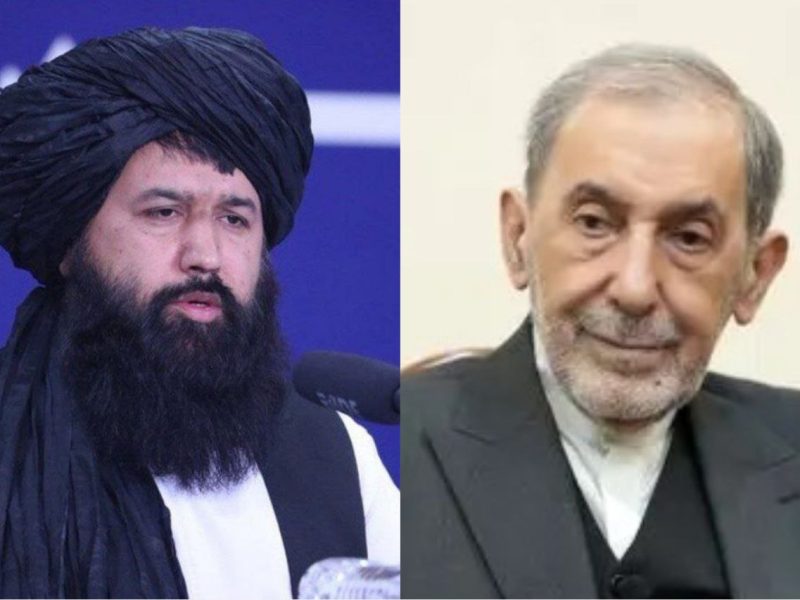 ندیم در تهران: همکاریهای علمی – دانشگاهی با ایران گسترش مییابد