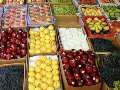 صادرات بیش از ۲۲ هزار تُن میوه تازه از هرات در ۹ ماه گذشته