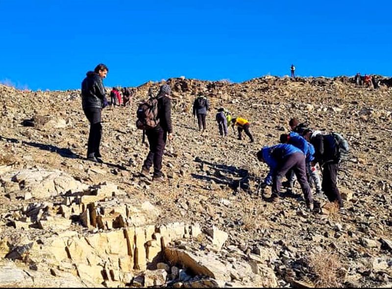 برنامه «پوشش سبز» برای ترویج فرهنگ حفاظت از محیطزیست در هرات آغاز شد