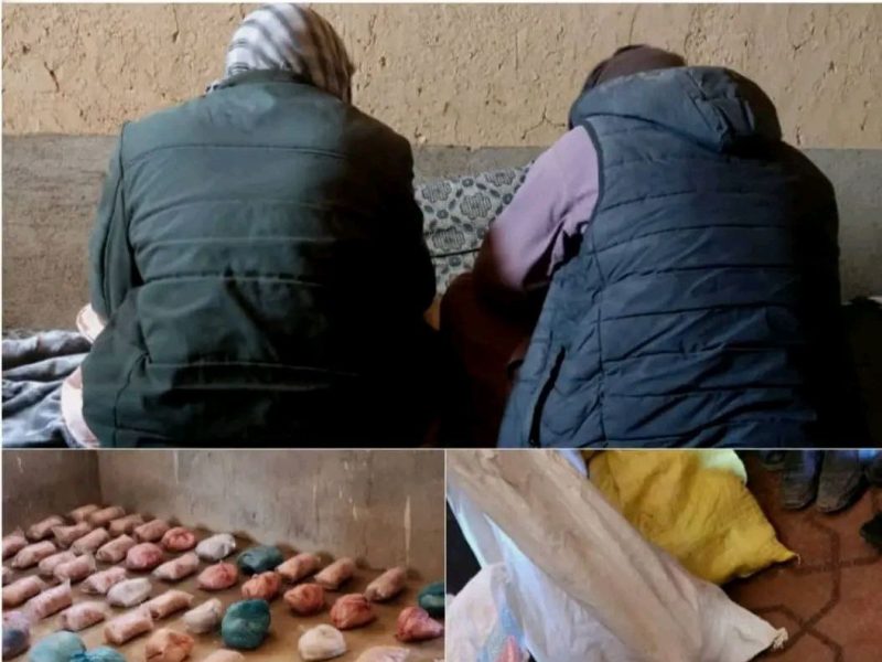 دو قاچاقچی مواد مخدر به دام پولیس غور افتادند
