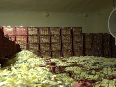 بهره‌برداری از سردخانه ۳۰۰۰ تُنی میوه تازه در ده‌سبز کابل