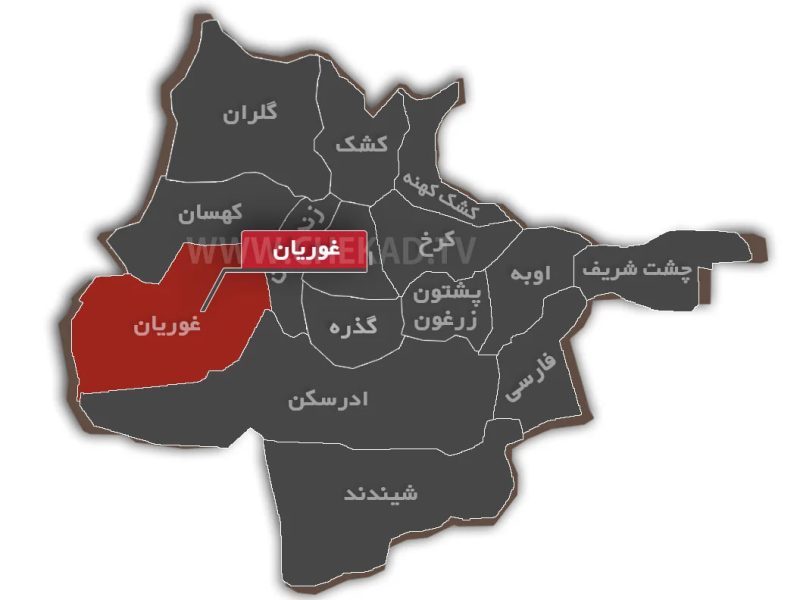 چهار تن در هرات هنگام قاچاق ارز به خارج از کشور بازداشت شدند