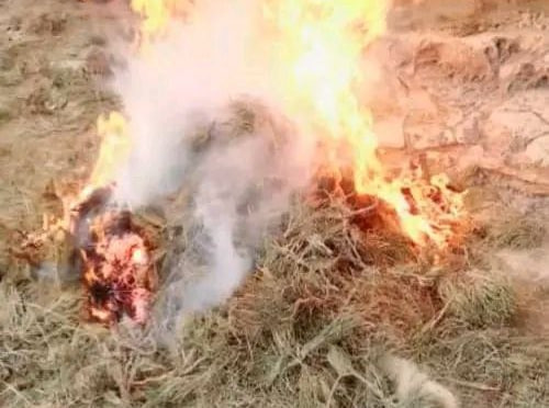 حریق یک تُن اومان در بادغیس؛ پولیس از ساخت صدها کیلوگرام مواد مخدر صنعتی جلوگیری کرد