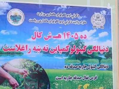 کمپاین نهال شانی در فراه؛ گسترش فضای سبز و مبارزه با تغییرات اقلیمی در اولویت است