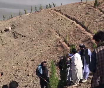 خبرنگاران هرات آستین بالا زدند؛ غرس 1000 اصله نهال برای حمایت از محیط زیست