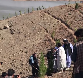 خبرنگاران هرات آستین بالا زدند؛ غرس 1000 اصله نهال برای حمایت از محیط زیست