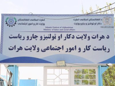 سهولت در روند دریافت جواز کاری در هرات؛ ۲۵۰۰ جواز طی یک سال توزیع شد
