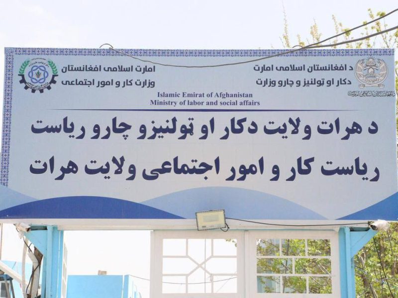 سهولت در روند دریافت جواز کاری در هرات؛ ۲۵۰۰ جواز طی یک سال توزیع شد