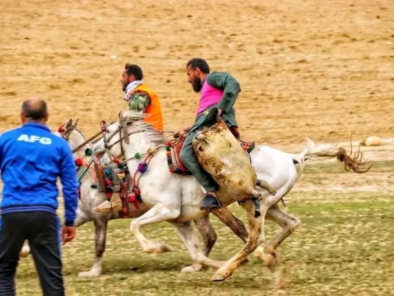 برگزاری مسابقه بزکشی در غور؛ استقبال گسترده مردم از ورزشهای سنتی کشور