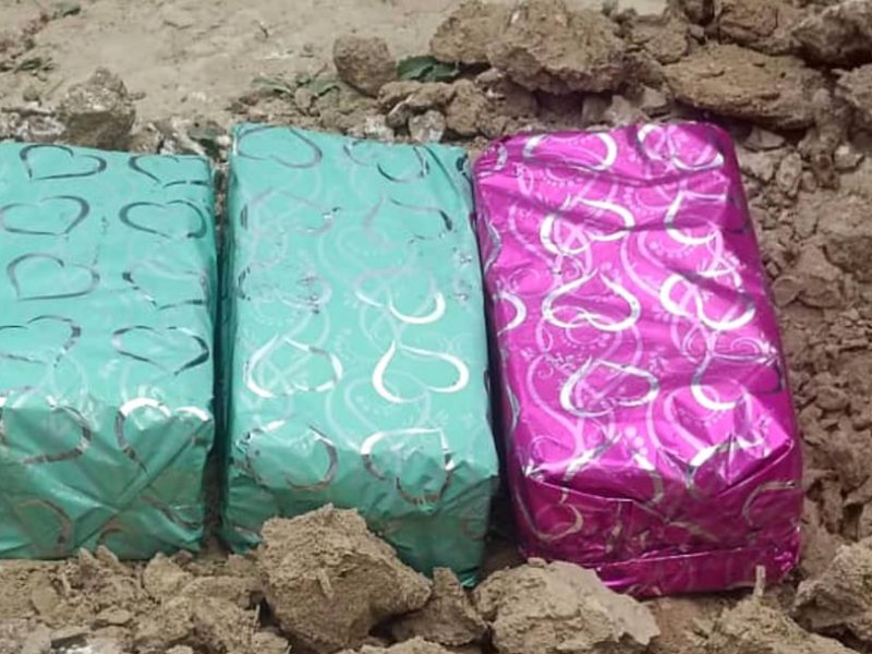 آغاز ساخت مارکت میوه ۱۵۰ میلیونی در فراه با ۲۳۰ دکان