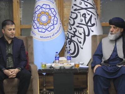 افزایش تمایل شرکت‌های دارویی ازبیکستان به سرمایه‌گذاری در افغانستان