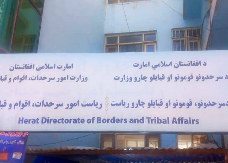 حل دو منازعه دیرینه در هرات؛ پایان ۱۷ سال دشمنی بر سر زمین با میانجی‌گری جرگه‌ها