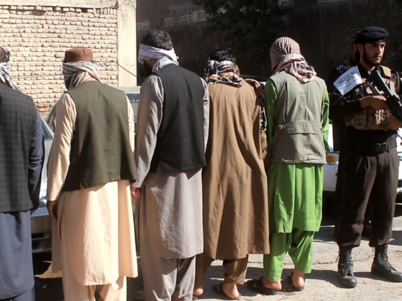 کشف ۹ عراده موتر مسروقه در هرات؛ عاملان بازداشت شدند