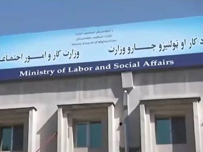 تعهد کتبی از شرکت‌های سیاحتی درباره توقف صدور غیرقانونی ویزا گرفته شد