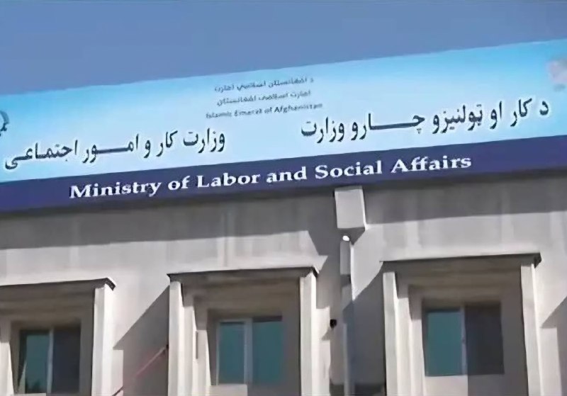تعهد کتبی از شرکت‌های سیاحتی درباره توقف صدور غیرقانونی ویزا گرفته شد