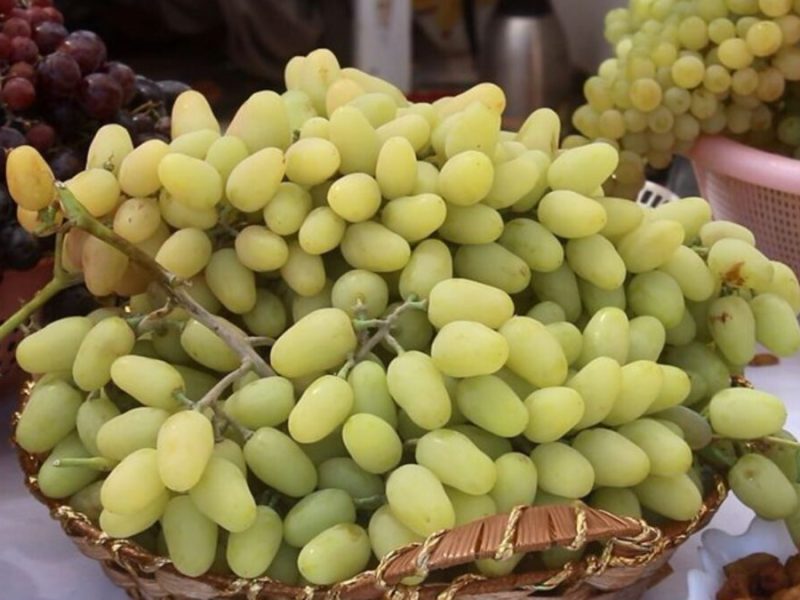 صادرات میوه‌های تازه نباید در مرزها متوقف شود